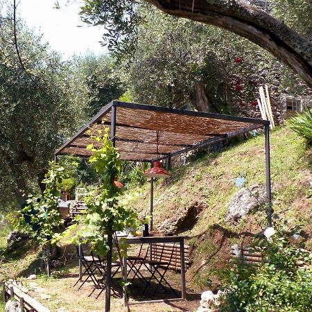 Il Giaggiolo Vila Camaiore Exterior foto