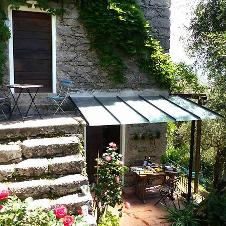 Il Giaggiolo Vila Camaiore Exterior foto