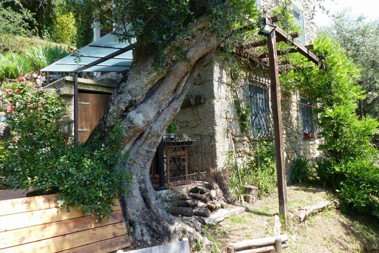 Il Giaggiolo Vila Camaiore Exterior foto