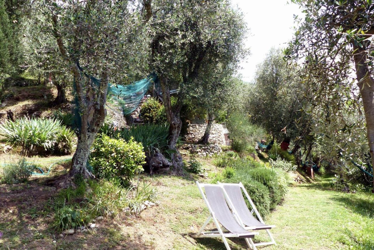 Il Giaggiolo Vila Camaiore Exterior foto