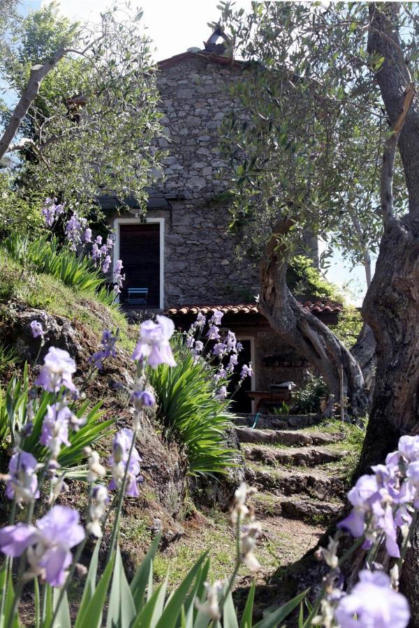 Il Giaggiolo Vila Camaiore Exterior foto