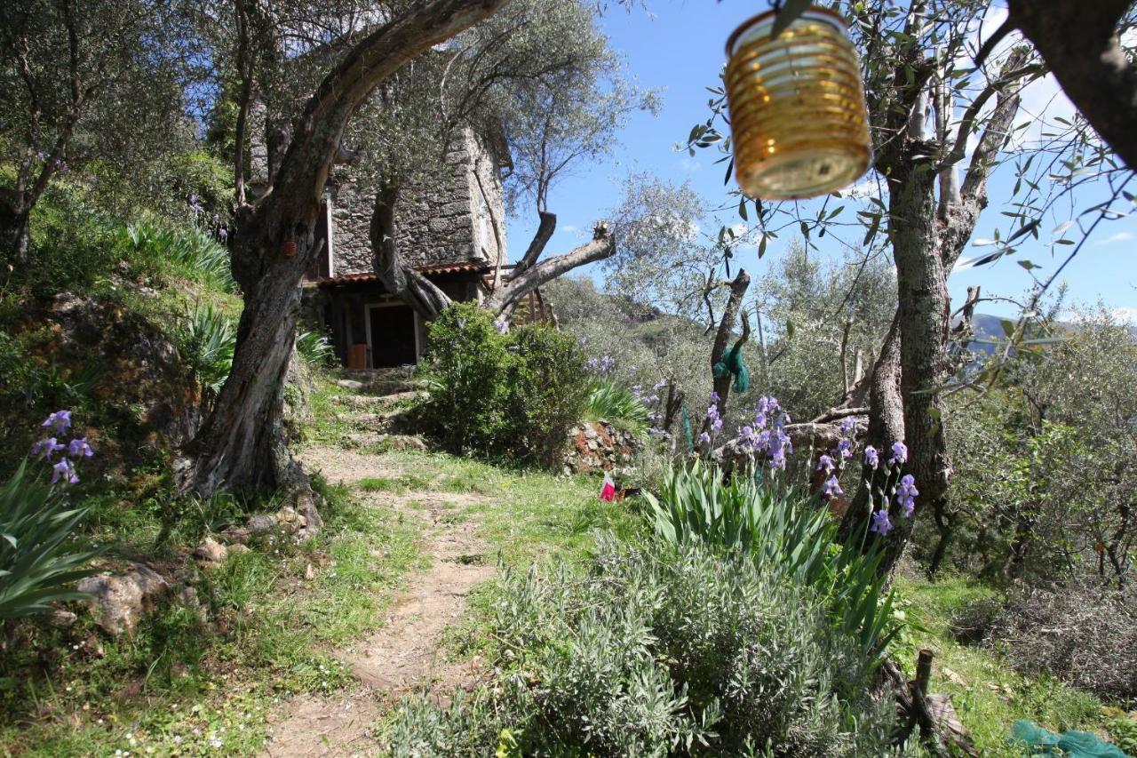 Il Giaggiolo Vila Camaiore Exterior foto