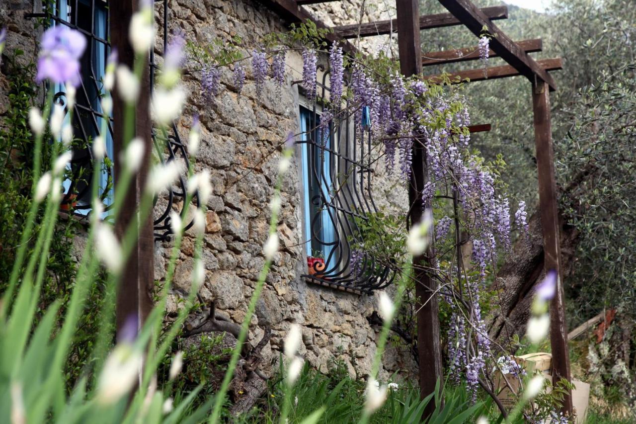Il Giaggiolo Vila Camaiore Exterior foto
